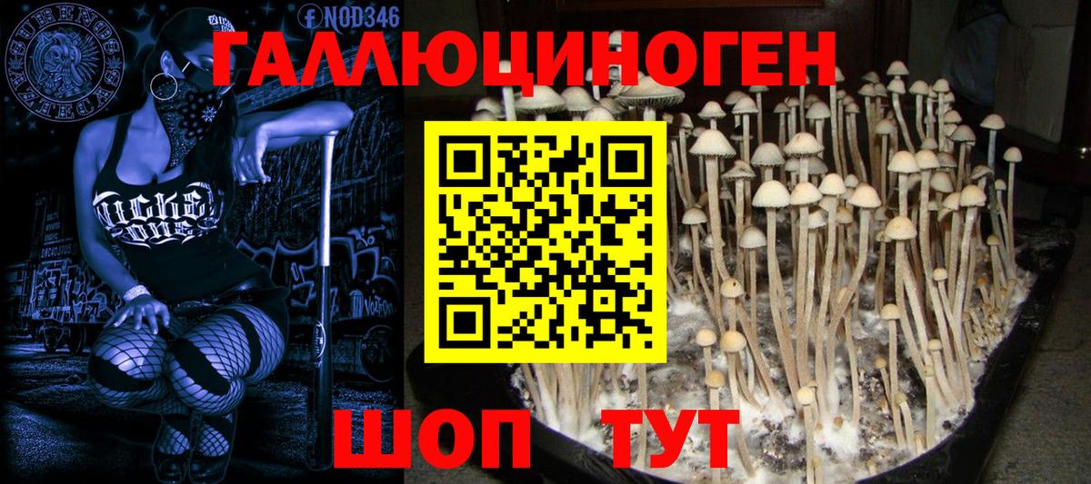 Псилоцибиновые грибы Psilocybine cubensis  Вход с VPN  Галлюциногенные грибы прущие грибы  Зерноград 