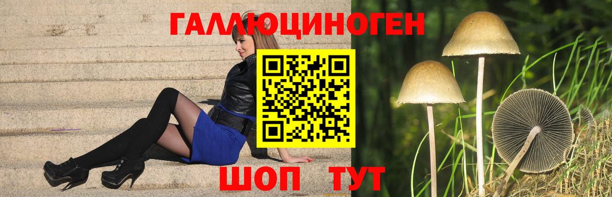 Псилоцибиновые грибы GOLDEN TEACHER Зерноград